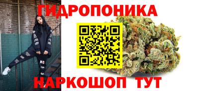 стаф Заводоуковск