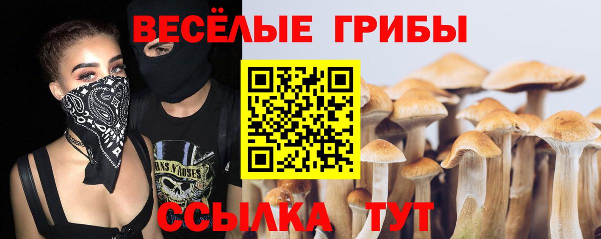 МЕФ Кыштым