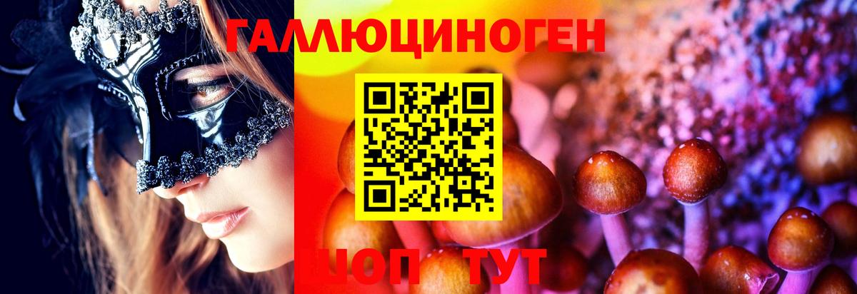 Галлюциногенные грибы мицелий  Вход с VPN  где купить   Кыштым 